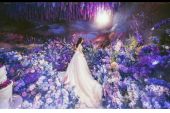 《梦中的新娘》(王觉演唱)的文本歌词及LRC歌词
