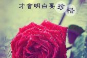 《红尘网恋》(苏青山演唱)的文本歌词及LRC歌词