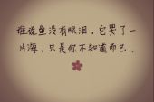 《不再挽留》(瀚东演唱)的文本歌词及LRC歌词