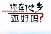 《你在他乡还好吗》(阿肖演唱)的文本歌词及LRC歌词