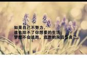 《静心去爱》(王小娟演唱)的文本歌词及LRC歌词