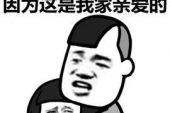 《亲爱的这是我们的家》(苏莹惠演唱)的文本歌词及LRC歌词