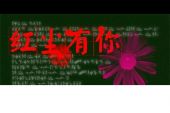 《红尘的你我》(冷漠演唱)的文本歌词及LRC歌词