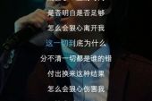 《怎么会狠心离开我》(贺金演唱)的文本歌词及LRC歌词