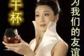 《为友谊干杯》(望海高歌演唱)的文本歌词及LRC歌词