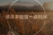 《请给我一点时间》(王觉演唱)的文本歌词及LRC歌词