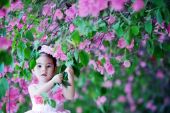 《花儿和少年》(薛之谦演唱)的文本歌词及LRC歌词