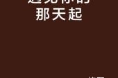 《网络遇见你》(伊然演唱)的文本歌词及LRC歌词