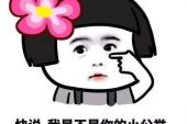 《小公举》(陈佳演唱)的文本歌词及LRC歌词