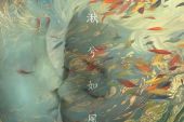 《湫兮如风》(徐佳莹演唱)的文本歌词及LRC歌词