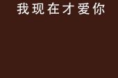 《对不起，现在我才爱上你》(正月十五演唱)的文本歌词及LRC歌词