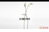 《生活的滋味谁能说的清》(老大哥演唱)的文本歌词及LRC歌词