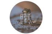 《何方的时光》(王健演唱)的文本歌词及LRC歌词