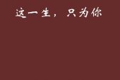 《这一生都是为了你》(白子潭演唱)的文本歌词及LRC歌词