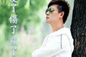 《爱了伤了痛了》(孙晓磊演唱)的文本歌词及LRC歌词