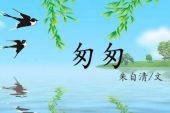 《匆匆》(崔子格演唱)的文本歌词及LRC歌词