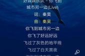 《你飞到城市另一边(Live)》(好妹妹乐队&王子云演唱)的文本歌词及LRC歌词