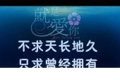 《说爱或许不是因为爱》(晨熙演唱)的文本歌词及LRC歌词