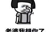 《不该爱的你》(廖智毅演唱)的文本歌词及LRC歌词