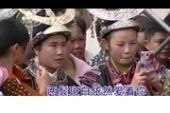 《今生无悔爱过你》(韦明华演唱)的文本歌词及LRC歌词