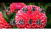 《把最真的祝福送给你》(尹一羽演唱)的文本歌词及LRC歌词