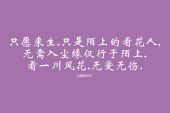 《痴情泪》(林玉英演唱)的文本歌词及LRC歌词