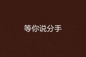 《等你说分手》(沈千依演唱)的文本歌词及LRC歌词