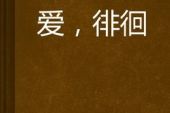 《爱不徘徊》(赵秋闱演唱)的文本歌词及LRC歌词