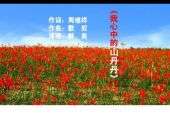 《我心中的山丹丹》(醉美演唱)的文本歌词及LRC歌词