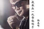 《让我最后一次牵你的手》(杨晨晖演唱)的文本歌词及LRC歌词