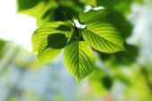《最美好的时光》(祝紫茗演唱)的文本歌词及LRC歌词