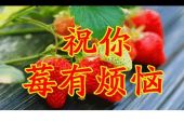 《所有的祝福都送给你》(赵红军演唱)的文本歌词及LRC歌词