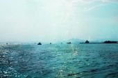 《鱼的眼泪在海心里》(袁耀发演唱)的文本歌词及LRC歌词