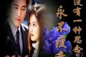 《有没有一种思念永不疲惫》(梅朵演唱)的文本歌词及LRC歌词