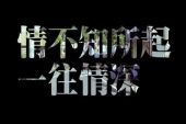 《为情所困》(高胜美演唱)的文本歌词及LRC歌词