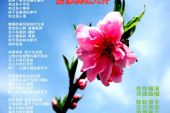《爱像桃花儿开》(望海高歌演唱)的文本歌词及LRC歌词