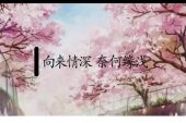 《不怨情深奈何缘浅》(张津涤&司徒兰芳演唱)的文本歌词及LRC歌词