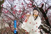 《落梅横笛》(晓东演唱)的文本歌词及LRC歌词