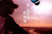 《就让你走》(赵天宇演唱)的文本歌词及LRC歌词