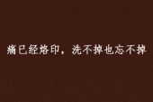 《忘不掉的痛》(安熠格演唱)的文本歌词及LRC歌词