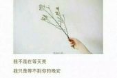《等你在梦的边缘》(张晓明演唱)的文本歌词及LRC歌词