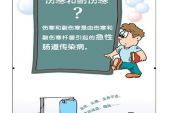 《伤寒》(蒋卓嘉演唱)的文本歌词及LRC歌词