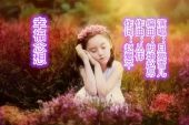 《幸福念想》(丛伟演唱)的文本歌词及LRC歌词