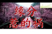 《都是缘分惹的祸》(万一演唱)的文本歌词及LRC歌词