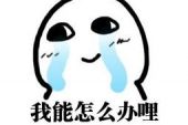 《还能怎样》(金天琪演唱)的文本歌词及LRC歌词