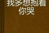 《好想抱着你哭》(蒋婴,李成浩演唱)的文本歌词及LRC歌词