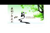 《走过一年》(任柯演唱)的文本歌词及LRC歌词