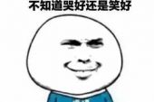 《一个哭起来还在笑的人》(李翊君演唱)的文本歌词及LRC歌词