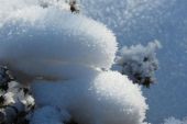 《好大的雪》(李封序演唱)的文本歌词及LRC歌词