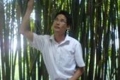 《把你爱到底》(苏莹惠,雷一鸣演唱)的文本歌词及LRC歌词